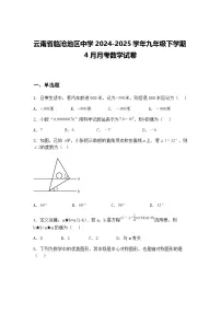 云南省临沧地区中学2024-2025学年九年级下学期4月月考数学试卷(含答案解析)