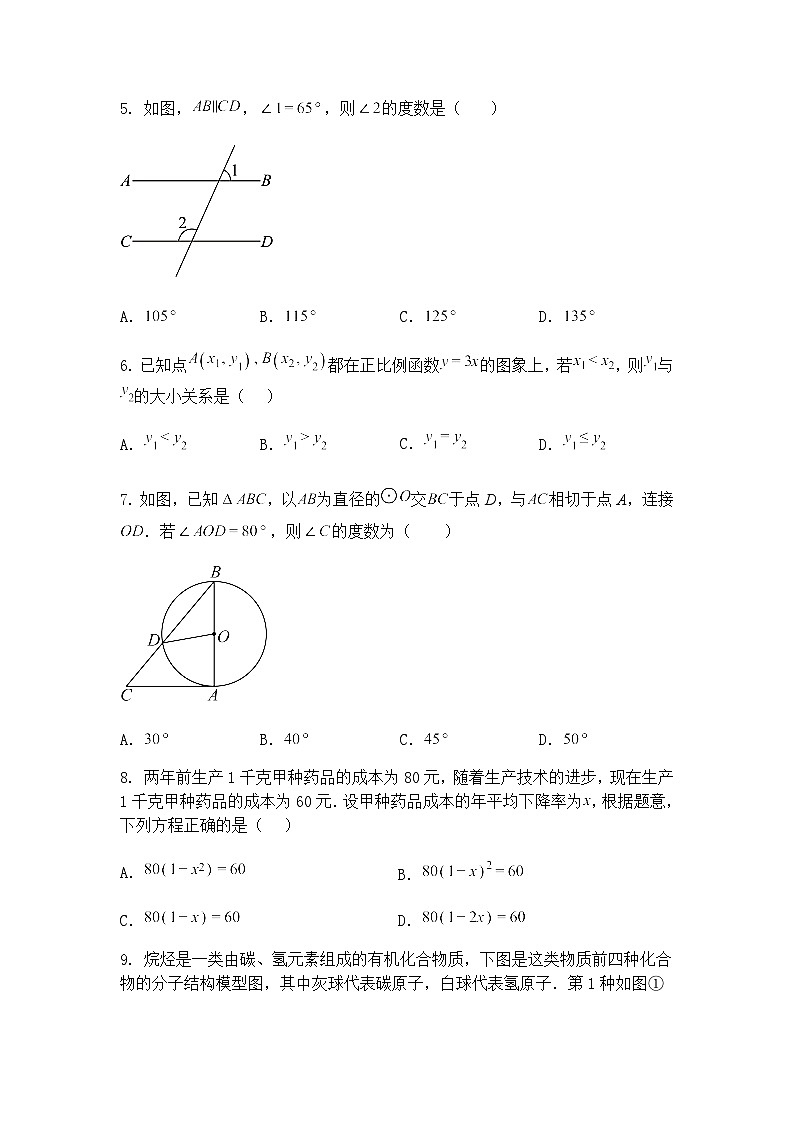 广东省惠州市华南师范大学附属惠阳学校2024-2025学年九年级下学期第一次学情调研考试数学试卷(含答案解析)第2页