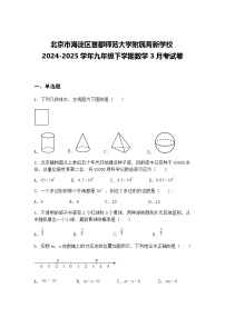 北京市海淀区首都师范大学附属育新学校2024-2025学年九年级下学期数学3月考试卷（含答案解析）