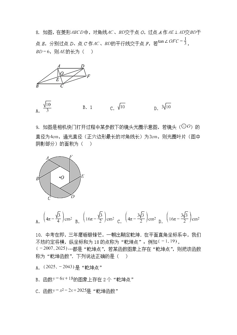 山东省聊城市莘县春笋学校2024-2025学年九年级下学期5月月考数学试题(含答案解析)第3页