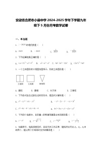 安徽省合肥市小庙中学2024-2025学年下学期九年级下5月份月考数学试卷（含答案解析）