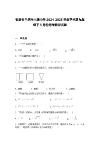 安徽省合肥市小庙中学2024-2025学年下学期九年级下5月份月考数学试卷（含答案解析）
