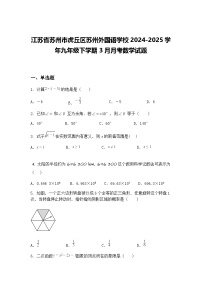 江苏省苏州市虎丘区苏州外国语学校2024-2025学年九年级下学期3月月考数学试题（含答案解析）