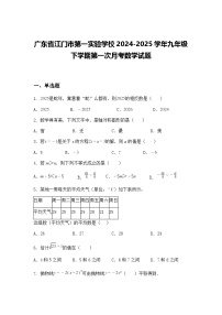 广东省江门市第一实验学校2024-2025学年九年级下学期第一次月考数学试题(含答案解析)