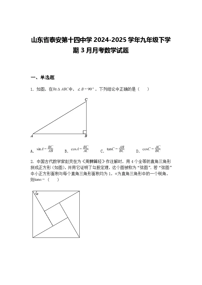 山东省泰安第十四中学2024-2025学年九年级下学期3月月考数学试题(含答案解析)第1页
