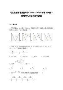 河北省衡水市第四中学2024—2025学年下学期3月月考九年级下数学试题（含答案解析）
