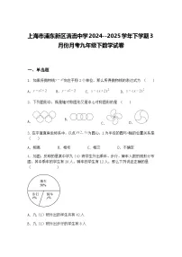 上海市浦东新区清流中学2024--2025学年下学期3月份月考九年级下数学试卷（含答案解析）