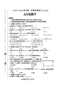 河南省周口市2025-2026学年九年级上学期10月月考数学试题