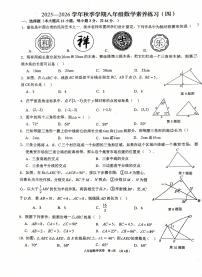 广西南宁市第三中学2025-2026学年八年级上学期数学10月月考试卷