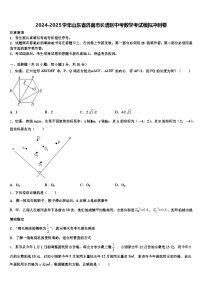 2024-2025学年山东省济南市长清区中考数学考试模拟冲刺卷含解析