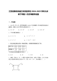 江苏省泰州市靖江市实验学校2024-2025学年九年级下学期3月月考数学试题（含答案解析）