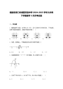 福建省厦门市湖里实验中学2024-2025学年九年级下学期数学3月月考试题（含答案解析）