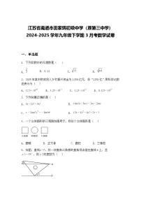 江苏省南通市田家炳初级中学（原第三中学）2024-2025学年九年级下学期3月考数学试卷（含答案解析）