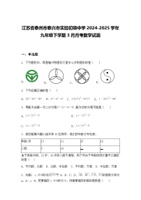 江苏省泰州市泰兴市实验初级中学2024-2025学年九年级下学期3月月考数学试题（含答案解析）