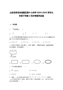 山东省青岛市城阳区第十七中学2024-2025学年九年级下学期3月月考数学试题（含答案解析）