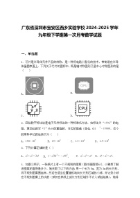 广东省深圳市宝安区西乡实验学校2024-2025学年九年级下学期第一次月考数学试题（含答案解析）