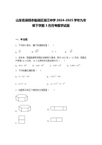 山东省淄博市临淄区淄江中学2024-2025学年九年级下学期3月月考数学试题（含答案解析）