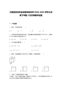 江西省抚州市金溪县实验中学2024-2025学年九年级下学期3月月考数学试题（含答案解析）