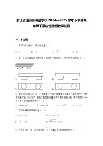 浙江省温州新希望学校2024—2025学年下学期九年级下适应性检测数学试题(含答案解析)