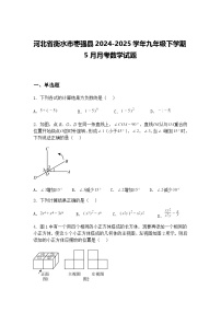 河北省衡水市枣强县2024-2025学年九年级下学期5月月考数学试题（含答案解析）