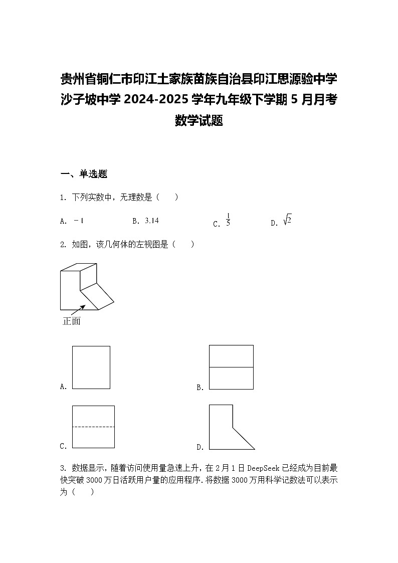 贵州省铜仁市印江土家族苗族自治县印江思源验中学 沙子坡中学2024-2025学年九年级下学期5月月考数学试题(含答案解析)第1页