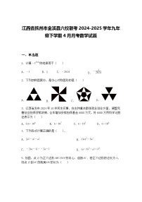 江西省抚州市金溪县六校联考2024-2025学年九年级下学期4月月考数学试题（含答案解析）