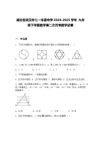 湖北省武汉市七一华源中学2024-2025学年 九年级下学期数学第二次月考数学试卷（含答案解析）