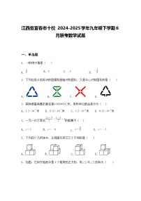 江西省宜春市十校 2024-2025学年九年级下学期6月联考数学试题（含答案解析）
