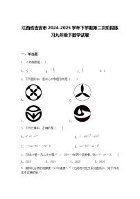 江西省吉安市2024-2025学年下学期第二次阶段练习九年级下数学试卷（含答案解析）