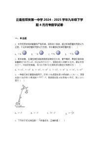 云南省煤炭第一中学2024－2025学年九年级下学期4月月考数学试卷（含答案解析）