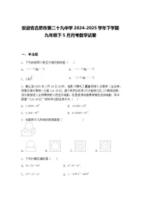 安徽省合肥市第二十九中学2024-2025学年下学期九年级下5月月考数学试卷（含答案解析）