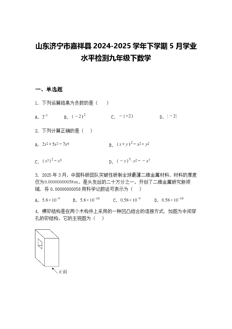 山东济宁市嘉祥县2024-2025学年下学期5月学业水平检测九年级下数学(含答案解析)第1页