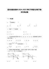 四川省南充高中2024-2025学年下学期九年级下数学月考试卷（含答案解析）