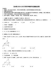 吉水县2024-2025学年中考数学全真模拟试卷含解析