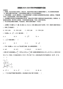 紫阳县2024-2025学年中考四模数学试题含解析