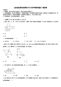 山东省东营市利津县2025年中考数学最后一模试卷含解析