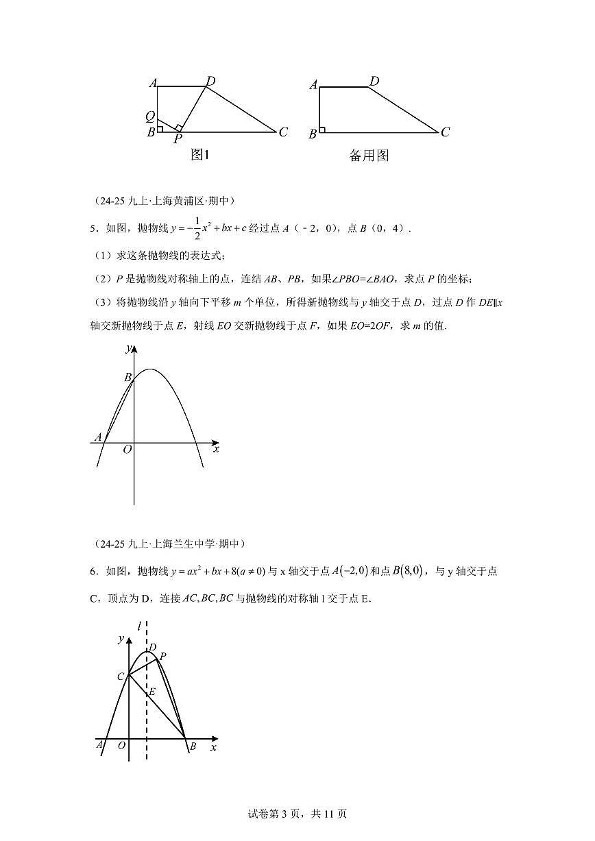 专题10二次函数压轴题(期中真题 上海专用)九年级数学上册(沪教版上海)含答案第3页