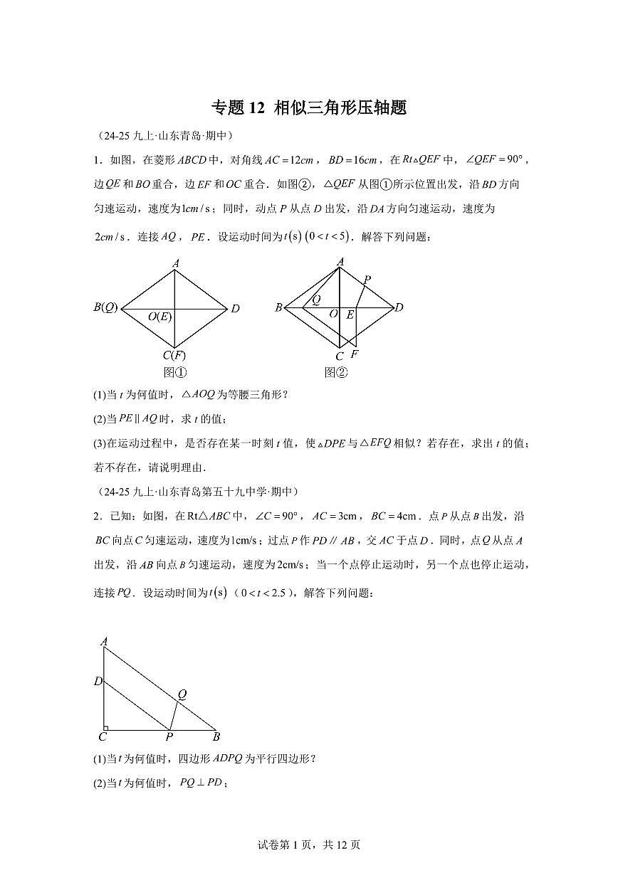 专题12相似三角形压轴题(期中真题)九年级数学上册北师大版(含答案)第1页