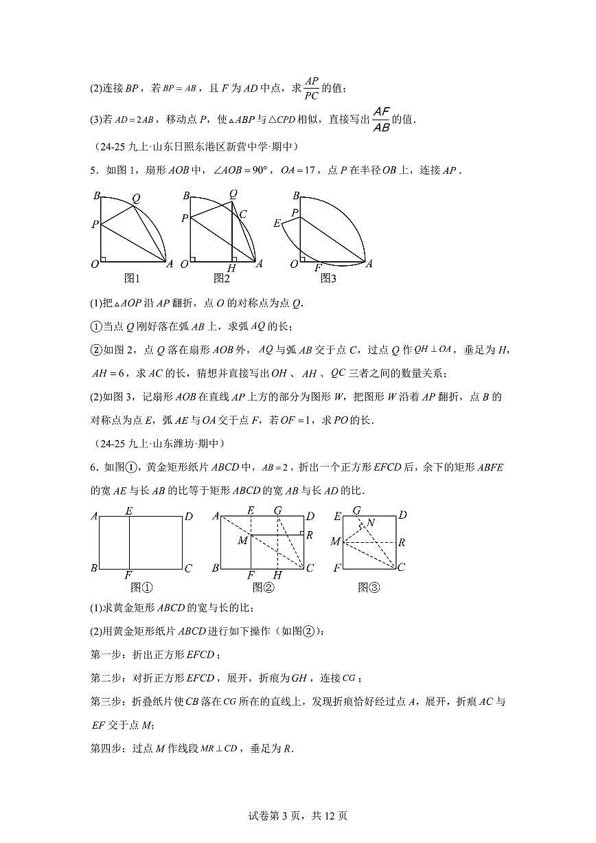 专题12相似三角形压轴题(期中真题)九年级数学上册北师大版(含答案)第3页