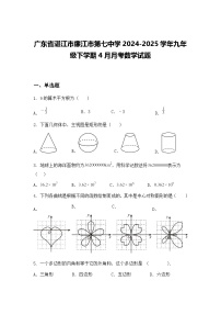 广东省湛江市廉江市第七中学2024-2025学年九年级下学期4月月考数学试题（含答案解析）