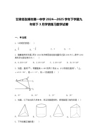 甘肃省张掖市第一中学2024—2025学年下学期九年级下3月学情练习数学试卷（含答案解析）