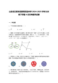 山东省日照市田家炳实验中学2024-2025学年九年级下学期4月月考数学试卷（含答案解析）
