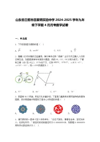 山东省日照市田家炳实验中学2024-2025学年九年级下学期4月月考数学试卷（含答案解析）