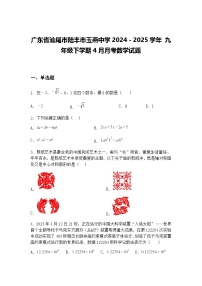 广东省汕尾市陆丰市玉燕中学2024－2025学年 九年级下学期4月月考数学试题（含答案解析）
