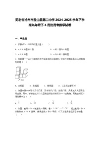 河北省沧州市盐山县第二中学2024-2025学年下学期九年级下4月份月考数学试卷（含答案解析）