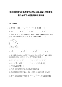 河北省沧州市盐山县第五中学2024-2025学年下学期九年级下4月份月考数学试卷（含答案解析）