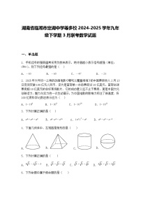 湖南省临湘市定湖中学等多校2024-2025学年九年级下学期3月联考数学试题（含答案解析）