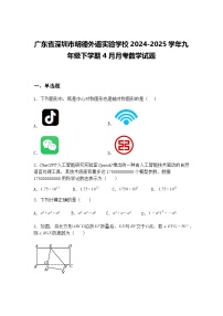 广东省深圳市明德外语实验学校2024-2025学年九年级下学期4月月考数学试题（含答案解析）