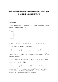 河北省沧州市盐山县第三中学2024-2025学年下学期4月月考九年级下数学试题（含答案解析）
