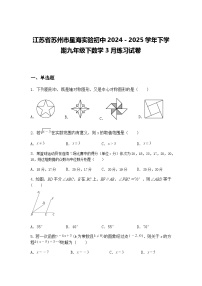 江苏省苏州市星海实验初中2024－2025学年下学期九年级下数学3月练习试卷（含答案解析）